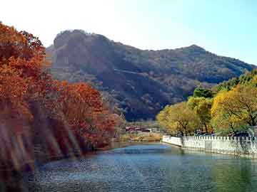 澳门天天开奖免费资料，逃出游客旅馆